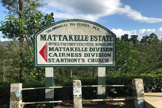 The Matakelle Estate - Award Winning Tea