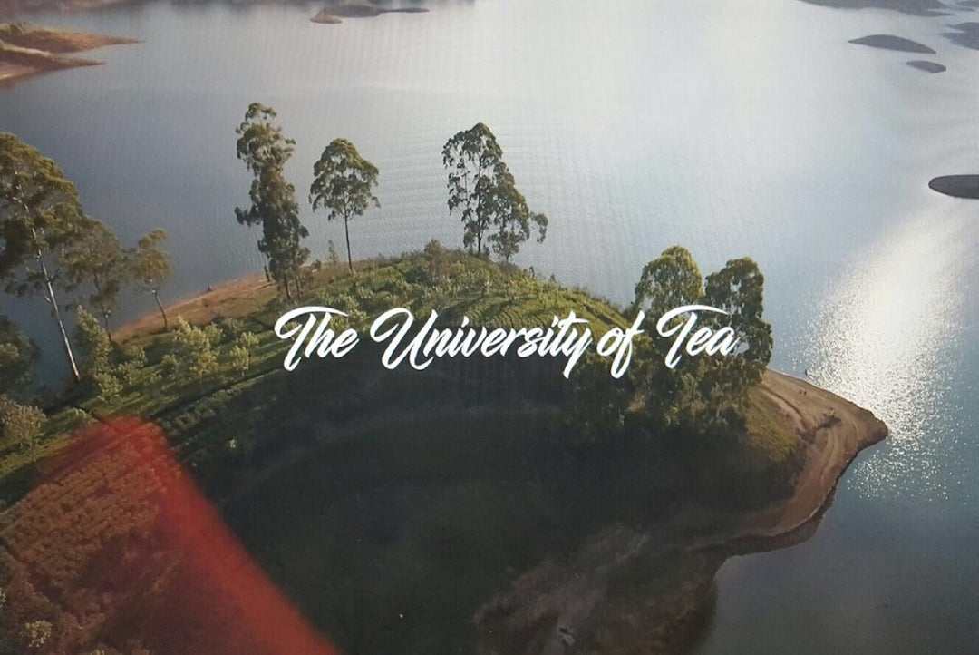 Introduction to University of Tea