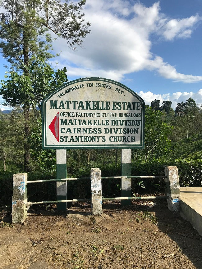 Mattakelle Estate - Golden Curl – Award-Winning Ceylon Tea (Leafies Award Winner 2022, 2024)