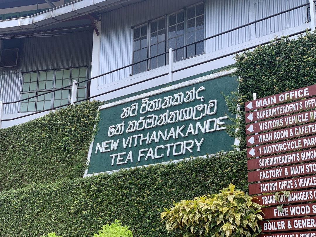 New Vithanakande Estate – World’s Most Expensive Ceylon Tea  Single Estate | Ratnapura, Sri Lanka