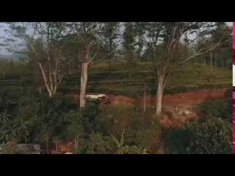Inverness Estate Orange Pekoe - Single Estate | Nuwara Eliya, Sri Lanka