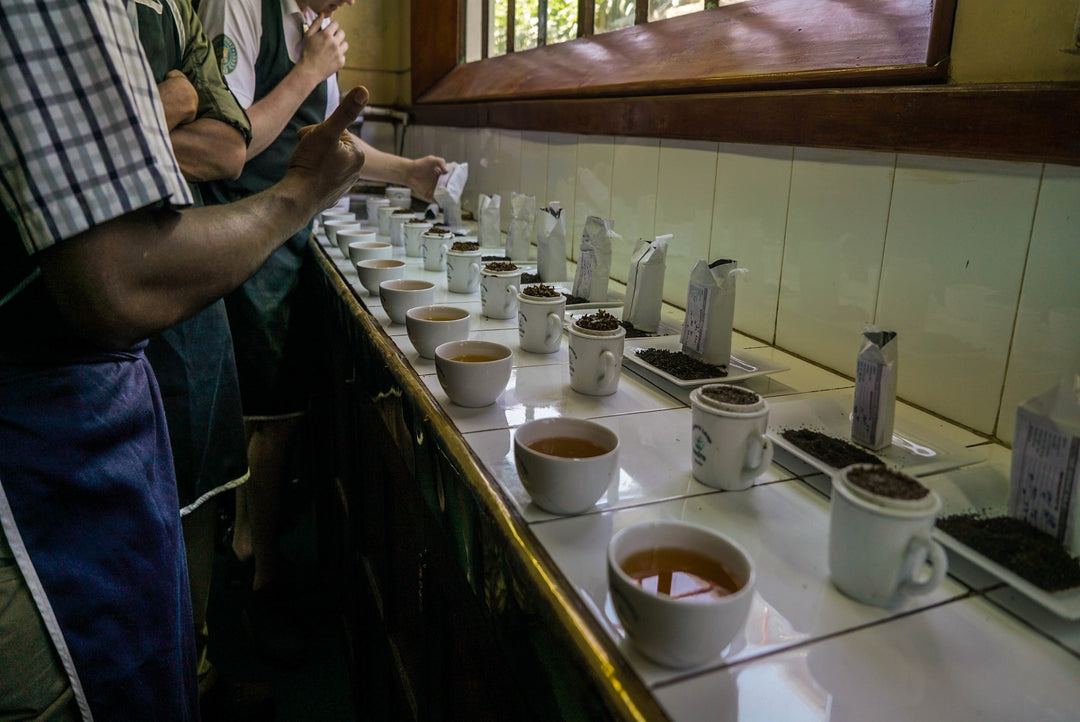 Maintaining consistency in our Teas