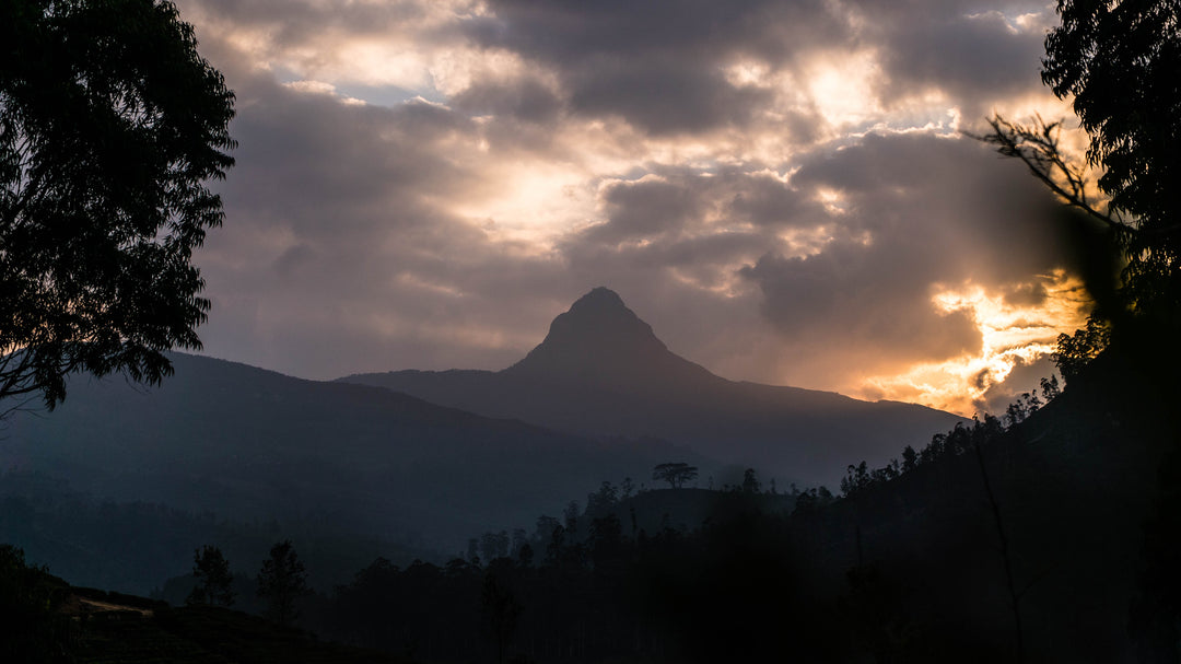 Sri Pada: Land of Pure Water & the Perfect Cup of Tea