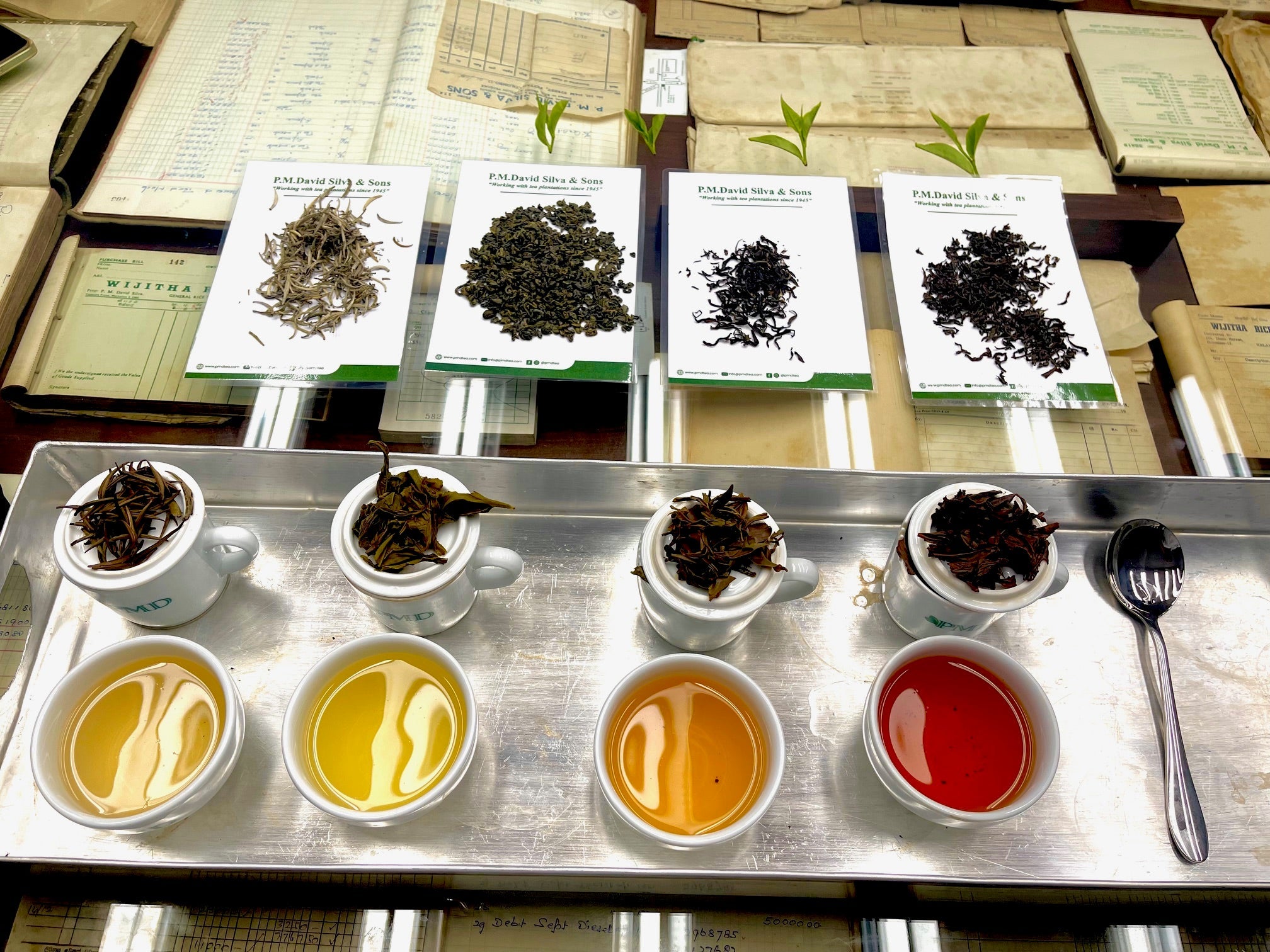 Tea Explained The 4 Types of Tea Explained: How One Plant Becomes White, Green, Oolo ...