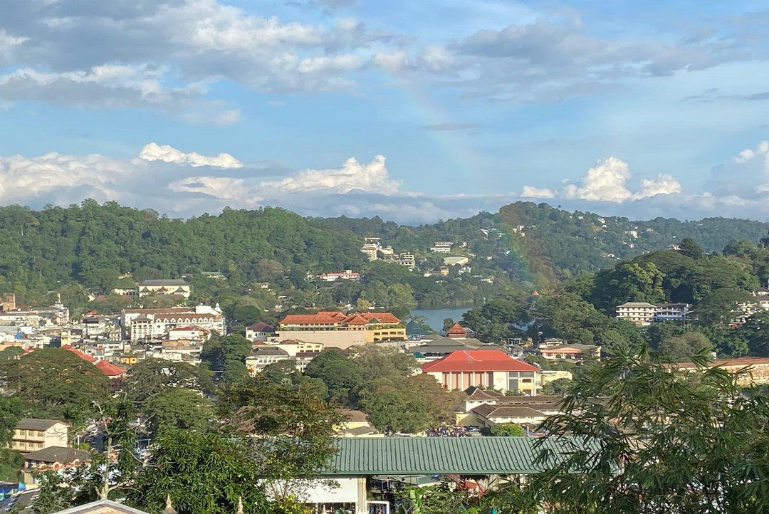 Sri Lanka Tea Growing Regions - Kandy