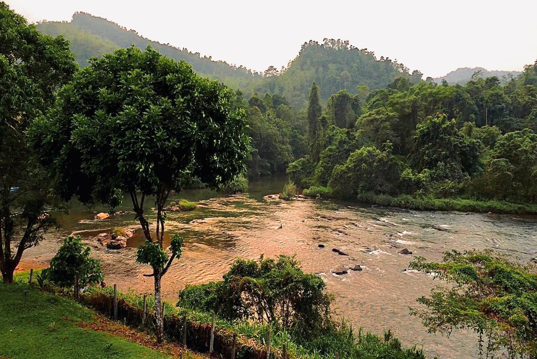 Where to Stop on the Way to Sri Lanka’s Hill Country: The Best Rest Houses