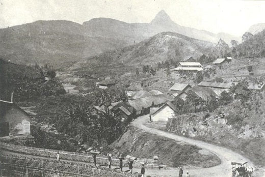 Uncovering Kintyre: The Lost Tea Town Beneath Mousakelle Dam in Sri Lanka’s Hill Country
