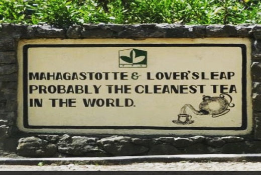 A Field Guide to Ceylon Tea: Discovering Nuwara Eliya – Sri Lanka’s Champagne of Tea