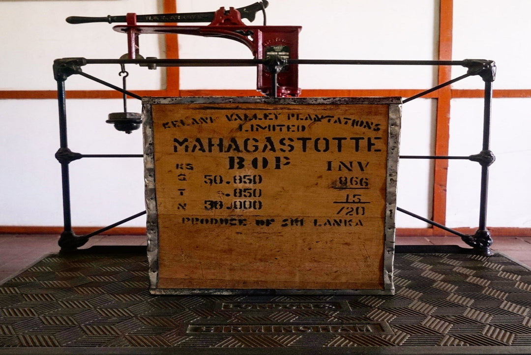 The Story of the Tea Chest: From Iconic Crates to Eco-Friendly Sacks