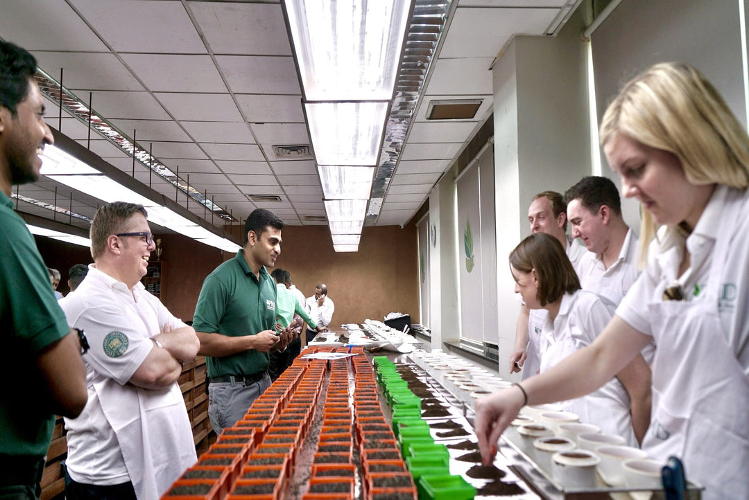 Part 1: Tasting at the University of Tea – From Dry Leaf to Copper Cups