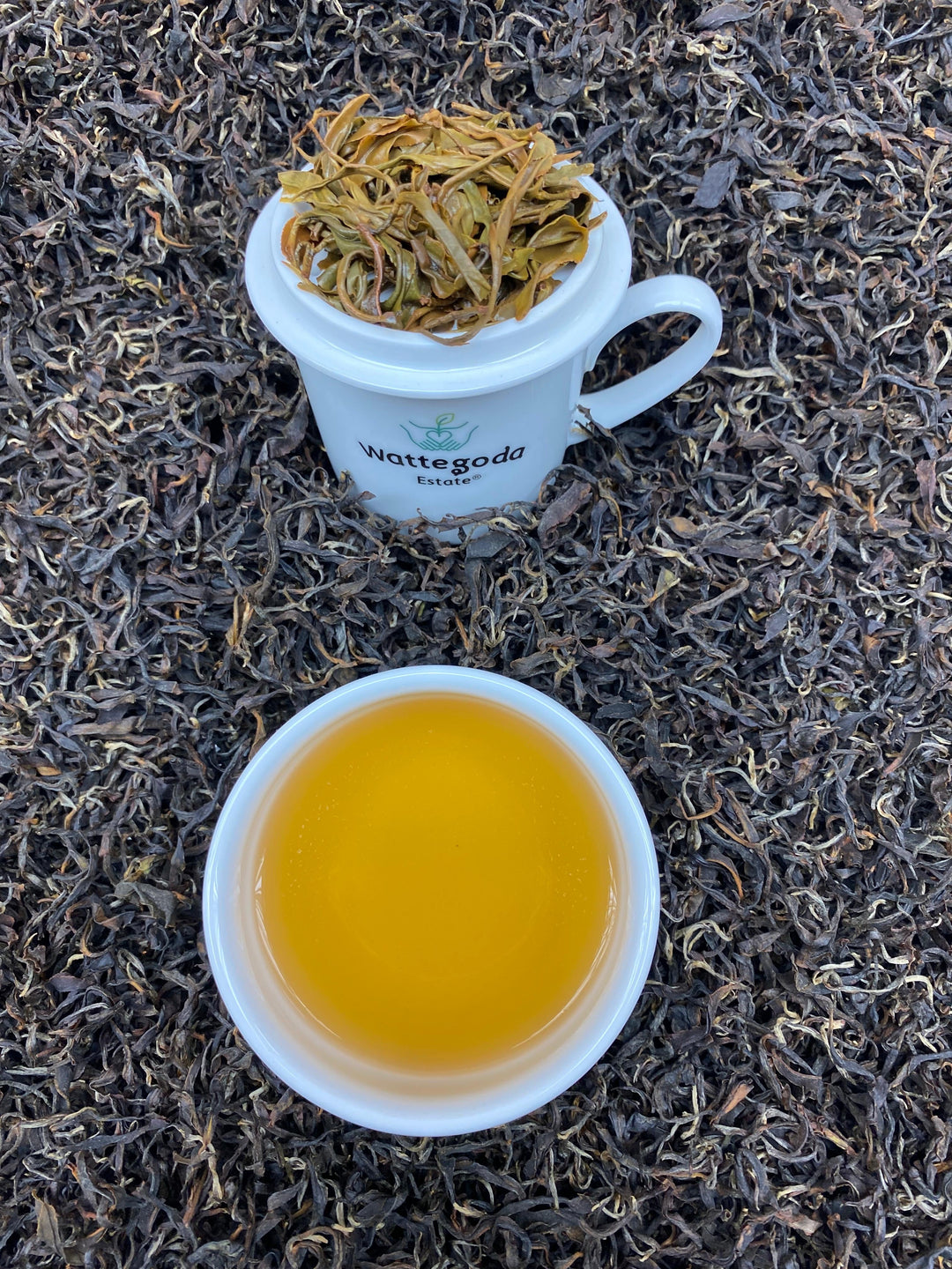 Estate Guide: Wattegodde Yoxford Oolong – A Limited Micro-Lot Ceylon Oolong Tea