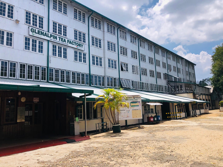 Glen Alpin Estate – Uva Ceylon Tea FBOP