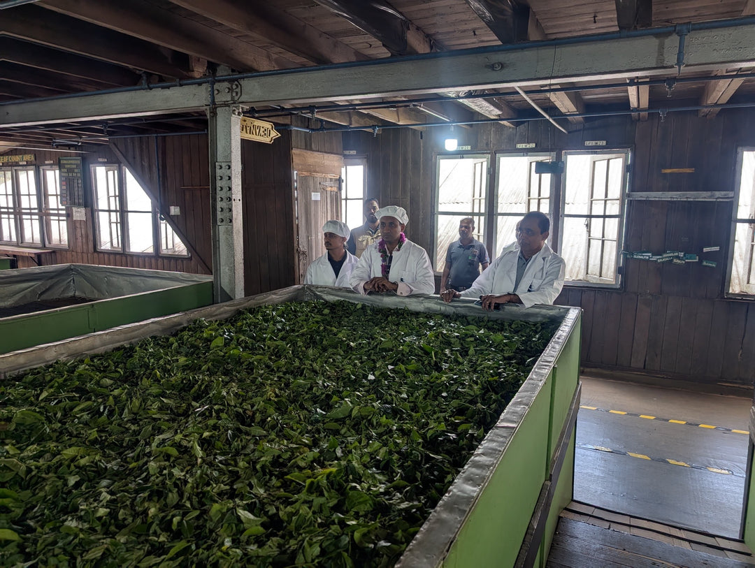 Glen Alpin Estate – Uva Ceylon Tea FBOP