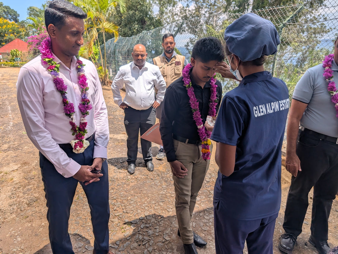 Glen Alpin Estate – Uva Ceylon Tea FBOP