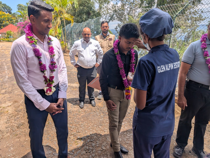 Glen Alpin Estate – Uva Ceylon Tea FBOP