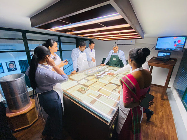 Ceylon Tea Tasting Experience in Colombo