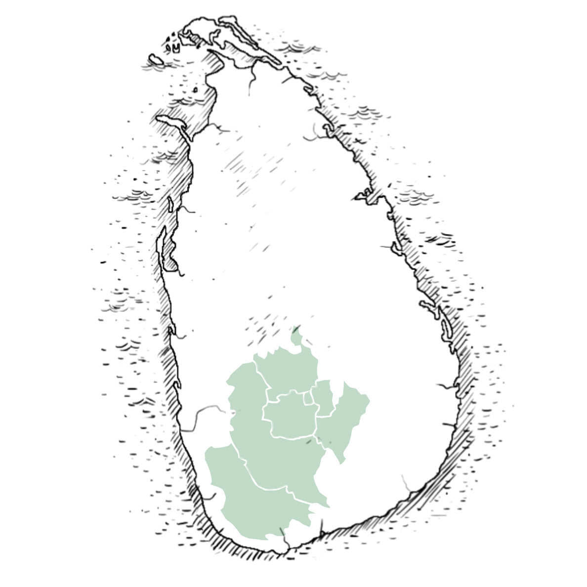 Tea Regions – PMD Tea